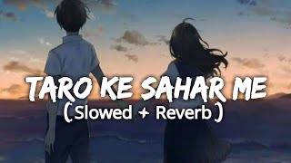Taaron Ke Shehar Me Lo-Fi (Slowed+Reverb) RazLoofi
