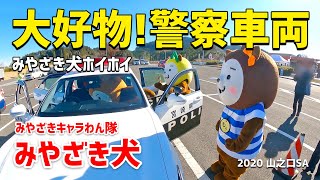 【みやざき犬】大好物！警察車両：2020山之口SA