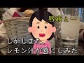 【広島女ひとり旅】独身32歳、もう恋なんてしない…傷心旅行で爆食してきた。【絶品グルメ】