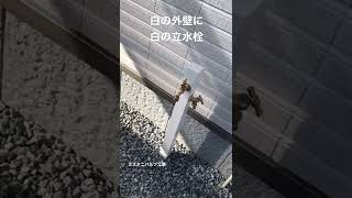 白　立水栓　おしゃれ　#shorts