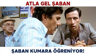 Atla Gel Şaban Türk Filmi | Şaban Kumar Öğreniyor! Kemal Sunal Filmleri