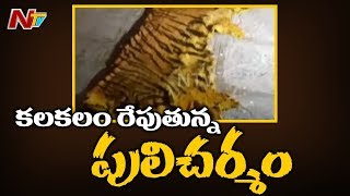 మంచిర్యాల జిల్లాలో పులి చర్మం కలకలం | Officials Found Tiger Skin in Mancherial District | NTV