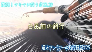 【週末アングラーの釣行日記】釣行日記№25。激闘！アキアジ釣り№22、23。台風前の釣行で、2匹目ゲット！