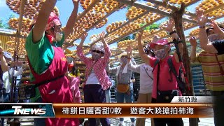 柿餅日曬香甜Q軟 遊客大啖搶拍柿海│T-NEWS聯播網