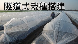 農事│ 凌晨隧道式棚搭建(Build the plastic tunnel Shield at night)