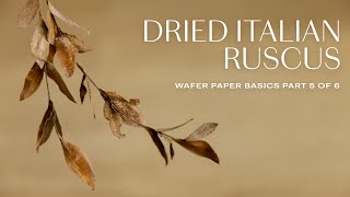 Wafer Paper Flowers Basics for Beginners: Dried Italian Ruscus (Part 5/6)