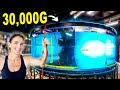 Finally Filling Our 30,000G Shark Tank With Water!