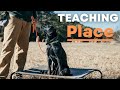 How To Teach Your Lab Puppy Place Quickly and Easily!