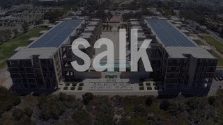 The Salk Institute: Where Cures Begin