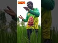 விவசாயிகளின் வைரல் பேச்சு திருவண்ணாமலை விவசாயி farmer farming agriculture viralspeech villagelife