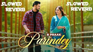 Parindey Slow and Reverb || B Praak | Gippy Grewal, Sargun Mehta  Gill |Latest Punjabi Songs 2024