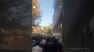 شعار «بسیجی حیا کن مملکت را رها کن» در دانشگاه صنعتی شریف