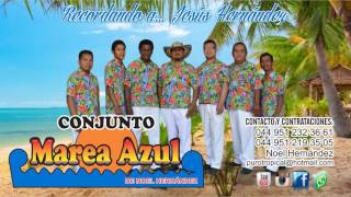 CONJUNTO MAREA AZUL  D.A.R  LA VENEZOLA