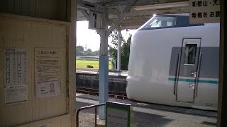 287系・特急くろしお｜和佐駅