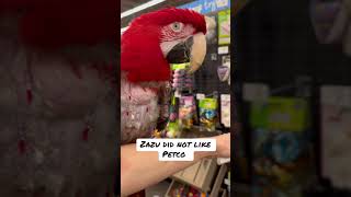 When Pet Store Trip Goes Wrong #macaw #parrots #petstore #birds