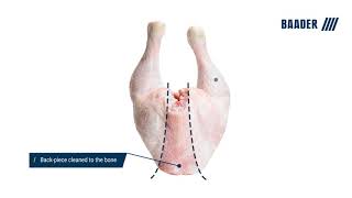 Baader Leg Processor animation