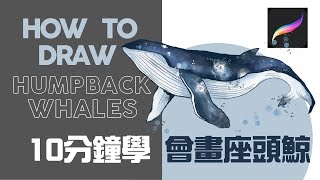 10分鐘學畫鯨魚｜For Beginner to draw a whale