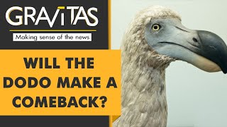 Gravitas: What's the story of the Dodo?