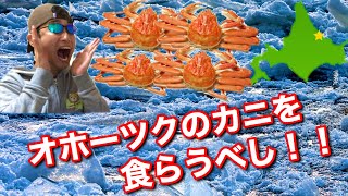 【紋別市・ふるさと納税】鮮度抜群！刺身でも食べられるオホーツクのカニ！