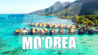 Moorea Tour from the Air [4K]