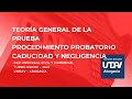 La prueba. Procedimiento probatorio. Negligencia y caducidad de la prueba