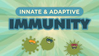 Innate & Adaptive Immunity