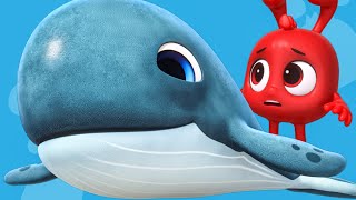 Morphle Meets the Whale 🐋 | Morphle's Magic Universe 🌌 | Adventure Cartoons for Kids