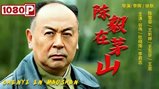 《#陈毅在茅山》/ Chenyi in Maoshan 陈毅元帅坚持统一战线选贤举能 新四军军部在茅山落地生根（谷伟 / 杜晓珠 / 李君 / 陈雪菲）