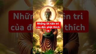 Những Lời Tiên Trí Chính Xác Của Đức Phật Cho Cuộc Sống Ngày Nay#TienTriDucPhat #PhatGiao