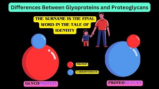 Glycoproteins and Proteoglycans