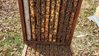 знімаємо утеплення з вуликів. #пасіка #бджоли #bees