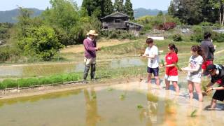 田植えの仕方教えます！！～鴨川自然王国～