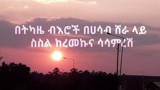 የማዲንጎ አፈወረቅ አድናቂወች ልሰሙት የሚገባ Madingo Afewerk mognu libe ምኙ ልቤLyrics video