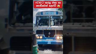 Hi තා පොඩ්ඩෙන් ලෙෆ්ට් 😱 #automobile #1millon #teamsasindu #trending #bus #1million