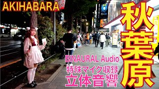 【4K/立体音響】秋葉原 電気街 20230426 akihabara tokyo night walk