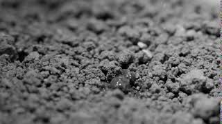 Loam soil