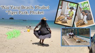 Part 1 | ഫങ്ങിയുള്ള ഫുക്കറ്റ് വിശേഷംസ് 🤭 | Nai Yang Beach | Tiger Park | Phuket | Thailand