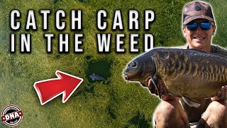 CATCH CARP IN THE WEED | DNA BAITS | CARP FISHING | JAMES ANDERSON | ***WIN 12MM BUG BOILIES!***