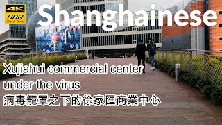 Xujiahui commercial center under the virus,病毒籠罩之下的徐家匯商業中心,上海的慢生活,Slow life in Shanghai,Virtual China