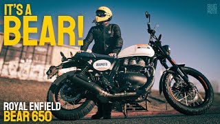 How It FEELS: Royal Enfield Bear 650 (vs Triumph Scrambler 900)