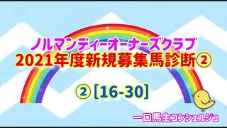 ノルマンディーオーナーズクラブ2021年度新規募集馬診断②［16-29］