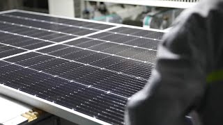 GLOBALink | A glimpse of solar panel production line in NW. China