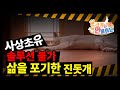 우리개연구소 🚫사상초유!! 🚨솔루션 불가~~!!! 역대급 이야기~~🐕삶을 포기한 진돗개 복순이~~~#진돗개 #강아지발사탕 #강아지교육