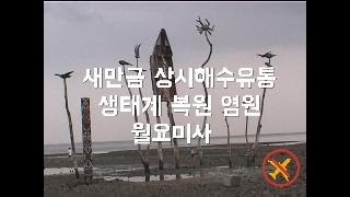 새만금 상시 해수유통 월요미사 기념 영상_ 20년전 해창갯벌 모습