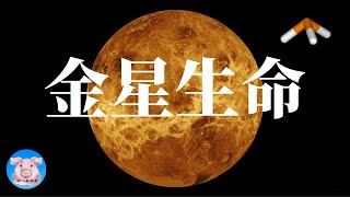 《自然·天文学》最新爆料：金星上很可能存在生命！︱也许在宇宙中，人类真的并不孤单！︱【猪二哥探索】