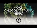 Chocolate Puma & Moksi - Hippo