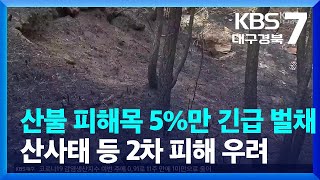 산불 피해목 5%만 ‘긴급 벌채’…산사태 등 2차 피해 우려 / KBS  2022.04.06.