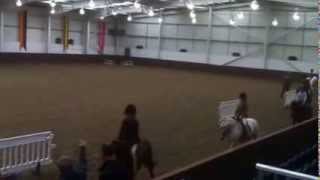 Katie Jerram Pre HOYS Clinic