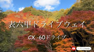 新ドライブシリーズ　その１　「表六甲ドライブウェイ」