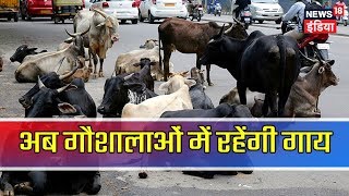 बहराइच | आवारा जानवरों को गौशाला में भेजा